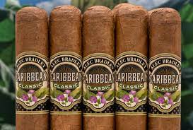 ALEC BRADLEY CARIB CLSSC CHURCHILL 20 CT BNDL