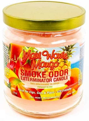 CANDLE JAR MAUI WOWIE 1 CT