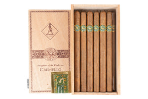 DAUGTERS OF THE WIND CREMELLO (LANCERO) 12CT